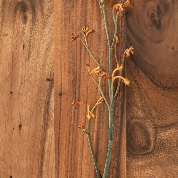 Stellingkast Van Suar Hout - Afbeelding 8