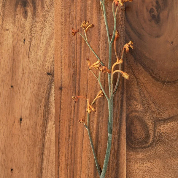 Suar Tv-meubel Uitschuifbaar - Afbeelding 8