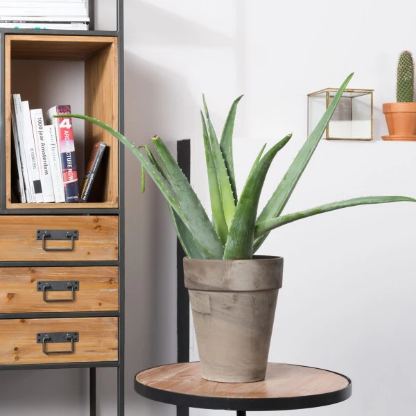 Open Wandkast - Afbeelding 7